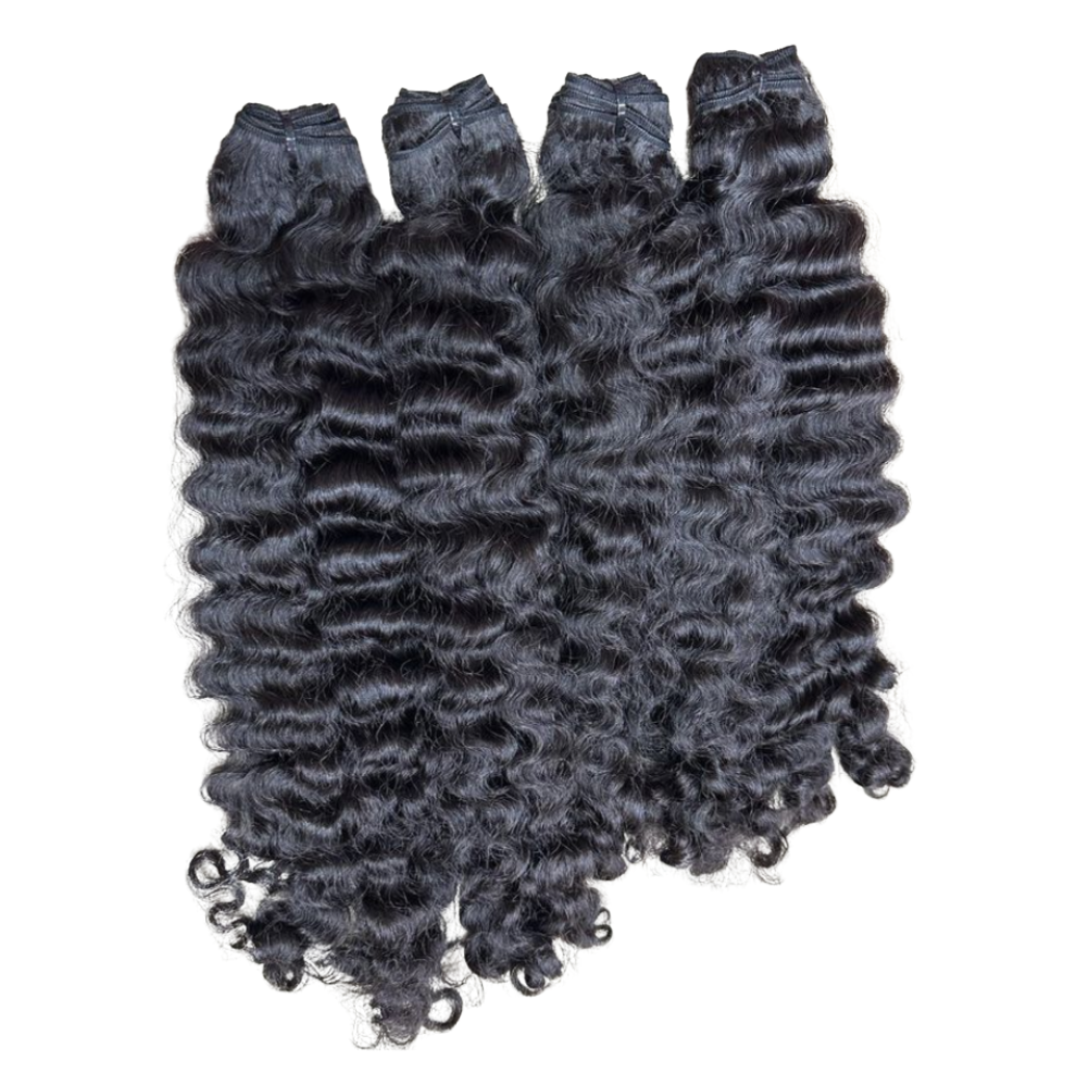 Burmese Curly